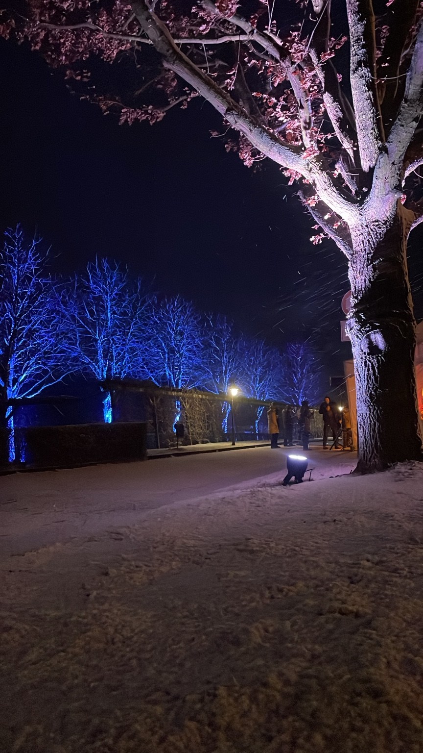 Weihnachtsbaumverbrennen · Stadt Coswig – Veranstaltungsimpression